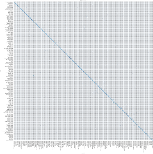 birds_confusion_matrix