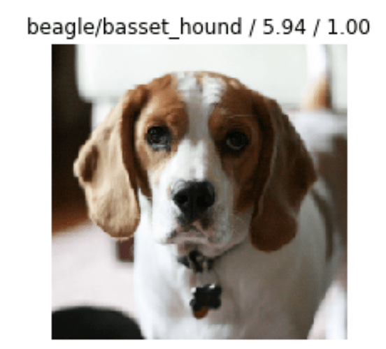 this_is_not_a_basset_hound
