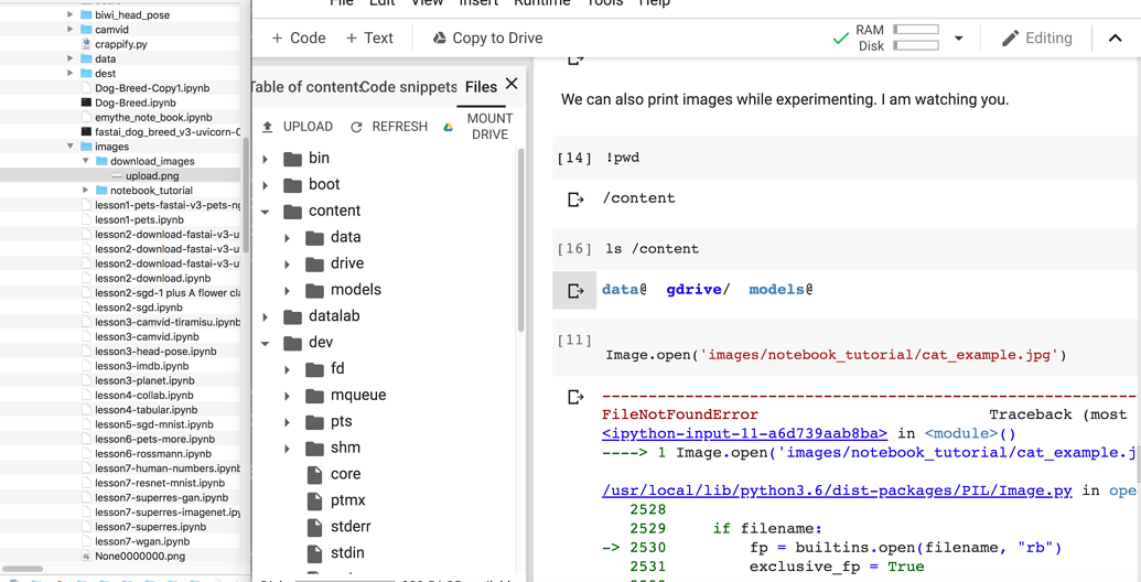 Google Colab Error in Lesson 0: Image open not working, no data to be ...