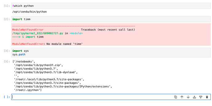 Cannot import timm in Jupyter NB Conda in opt