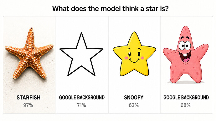 starfish-model