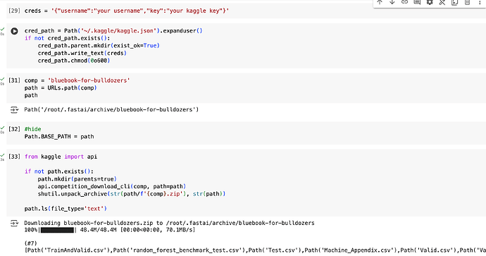 Kaggle API issue chapter 9 Tabular - Part 1 2022 - fast.ai Course Forums