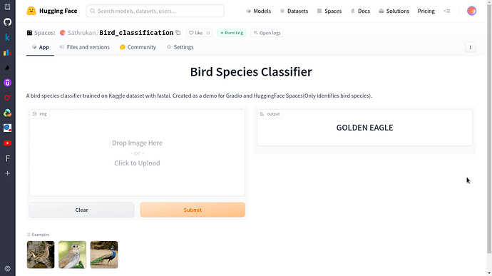 bird_classifier