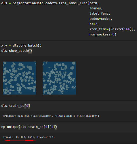 Cant do segmentation. RuntimeError: cuda runtime error (710) - fastai ...