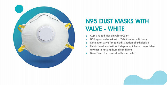 95N Disposable Dust Protective Face Mask