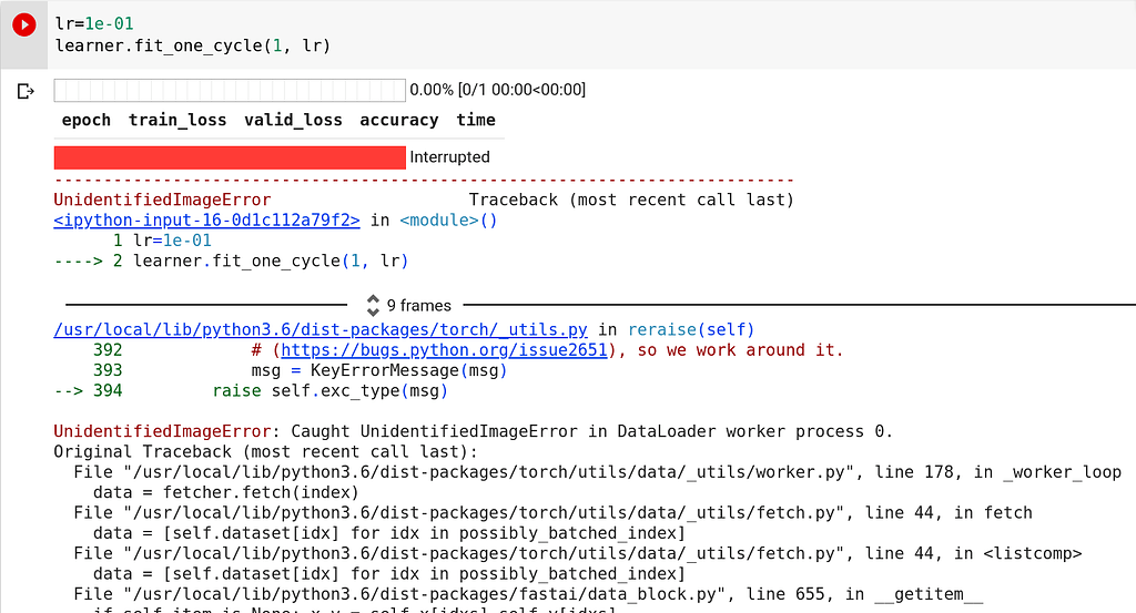 python - prophet fit runtimeerror: error during... Error with fit_one_cycle method - Advanced (Part 1 v3) - fast.ai Course ...