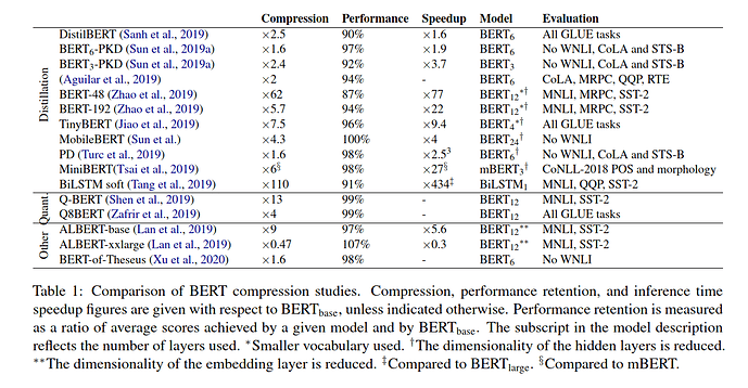 BERT Compression Studies