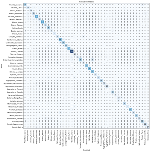 confusion_matrix