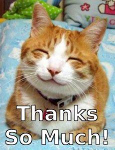 thank_you_cat