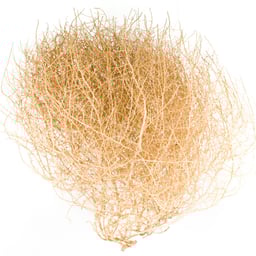 tumbleweed