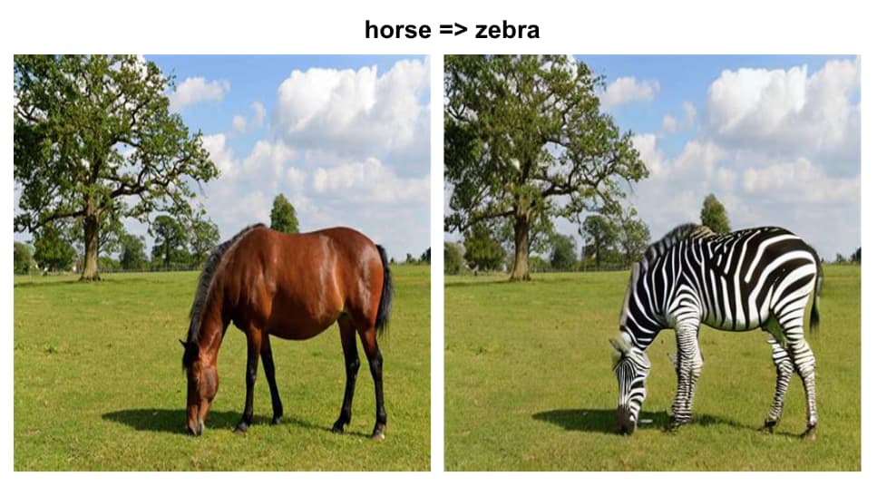 horse_to_zebra