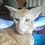 Alex.Nikitin