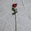 siddharth_727