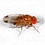 tessier0ashpool